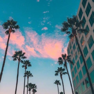 超級無敵小柿子